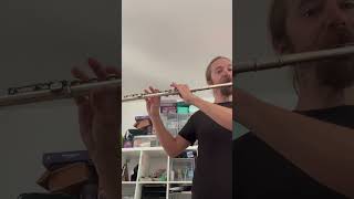 Need more silver flute practice [upl. by Eenat]