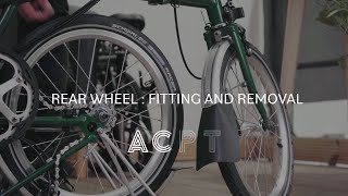 Rear wheel  fitting and removal [upl. by Lleoj]