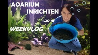 AQUARIUM inrichten nieuwe vissen en planten WEEKVLOG [upl. by Kcirrez]