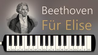 Bethoven  Für Elise  Melodica Academy [upl. by Corri]