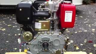 10HP diesel engine running [upl. by Hunley]