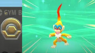 Evolving Chimchar And 1st Gym Badge Pokémon Brilliant Diamond Ep2 [upl. by Hillman]