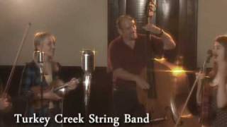 Turkey Creek String Band  quotStay All Nightquot [upl. by Oirad]