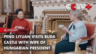 Peng Liyuan Visits Buda Castle with Wife of Hungarian President [upl. by Sadinoel]