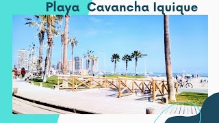 Playa Cavancha 🏖️Iquique Cavancha Beach [upl. by Ahsiele594]