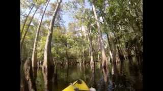 Fisheating Creek Burnt Bridge day kayak trip [upl. by Lloyd971]