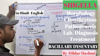 SHIGELLA  BACILLARY DYSENTERY  Microbiology  MBBS  Dildar Hashmi [upl. by Einolem]