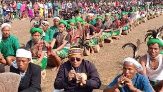 Skangonin Mingsingbaa mama Saleng Sangma Song by Kraisbirth Rangsa [upl. by Aken]