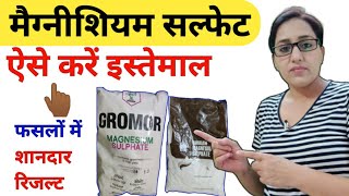 Magnesium sulfate fertilizer  how to use magnesium sulfate  magnesium  sulphur  benefits  dose [upl. by Novat]