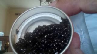 Sturgeon Caviar Review  Beluga Royal Baerii Asetra  Ossetra Caviar [upl. by Enyawd]