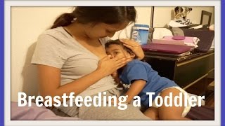 Breastfeeding a Toddler  April 25 2016  Ex2L [upl. by Weinreb433]