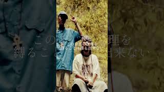 SOMAJIMarijuana feat BEAR B 【MUSIC VIDEO】PROD GACHA MEDZ [upl. by Eimyaj235]