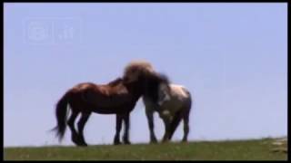 Abruzzo  La Giornata della Terra [upl. by Ocsic]