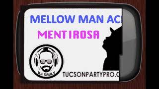 Mellow Man Ace Mentirosa Duo Ver DJ Sauly Karaoke [upl. by Ylrac]