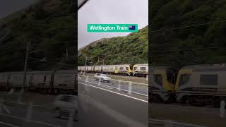 biyahe ng Buhay train travel wellington newzealand tomboytraveller [upl. by Kirshbaum]