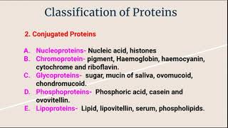 Conjugated and Derived Proteins [upl. by Nosirrag910]