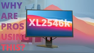 BenQ Zowie XL2546K Why are Esports pros using this monitor [upl. by Ydeh]