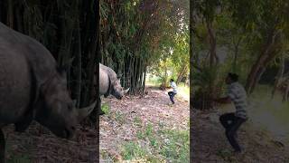 Rhino attack Village boy  rhino  rhinoceros  rhinoplasty surgery animation  rhino vs hippo [upl. by Sirroned]