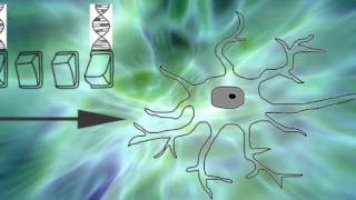 Bioelectricity Morphology amp Electroceuticals  Electricity of Life [upl. by Sone104]