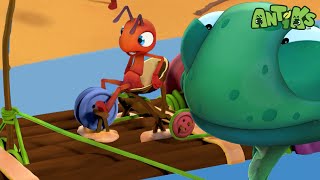 Tadzilla  😄🐜 Antiks Adventures  Joey and Boos Playtime [upl. by Volnay]