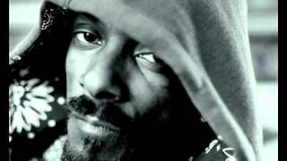 HQ Dr Dre  Kush Remix feat Game Snoop Dogg amp Akon OFFICIAL REMIX  Detox NEW 2010 [upl. by Adilen919]