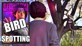 Life is Strange True Colors  Bird Spotting Trophy Achievement [upl. by Lyj]