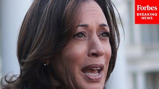 If Biden Drops Out Kamala Harris Is No Sure Winner For 2024 Nomination Top Pollster [upl. by Mandal]