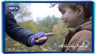 A Little Kindness  RSPCA Christmas Ad 2018 [upl. by Vidal]