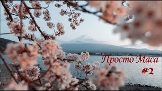 Просто Маса 2  Борис Акунин [upl. by Zack]