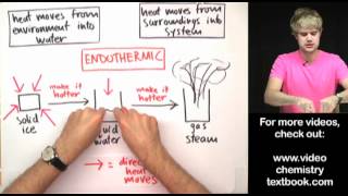 Phase Changes Exothermic or Endothermic [upl. by Ecnaled100]