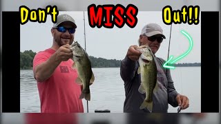 Fish an UNTAPPED OASIS Escape INTENSE Lake Chickamauga PRESSURE [upl. by Tica]