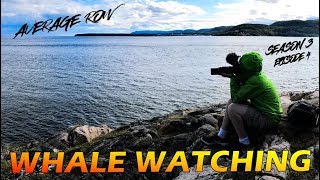 Tadoussac Quebec Whale Watching [upl. by Clercq]