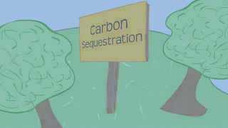 Carbon Sequestration 101 [upl. by Ellerad]