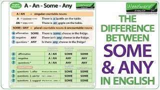 SOME and ANY in English  Grammar Lesson  A An Some or Any [upl. by Niamreg]