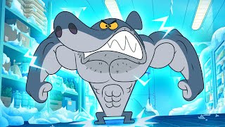 SUPER SHARK  Zig amp Sharko SEASON 3 BEST CARTOON COLLECTION  New Episodes in HD [upl. by Charil620]