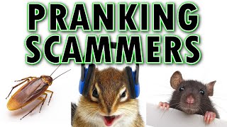 Pranking Scammers ft Mark Rober [upl. by Ximenes]