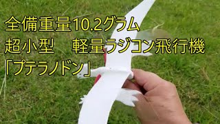 全備重量102グラム超小型軽量ラジコン飛行機「プテラノドン」 [upl. by Ttebroc853]