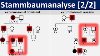 Stammbaumanalyse 22  gonosomal dominante und rezessive Erbgänge Biologie Genetik Oberstufe [upl. by Clover119]