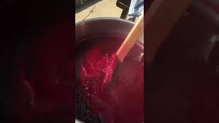 Dyeing with Cochineal by Kathleen OGrady [upl. by Eimarej]