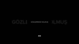 sonsuzluk yolu lyricvideo [upl. by Sikram]