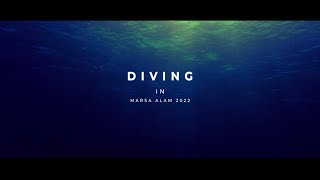 Diving in Marsa Alam 2022 [upl. by Clarice552]