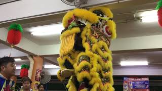 新加坡濟南體育會 Ji Nam Lion Dance Arrived amp Cai Qing Performance at KPT Kopitiam Hougang 24 January 2023 [upl. by Anyale]