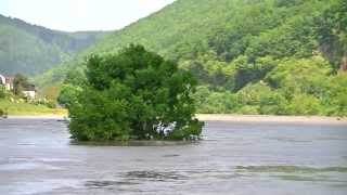 Hochwasser in Eberbach Juni 2013 [upl. by Amadas]