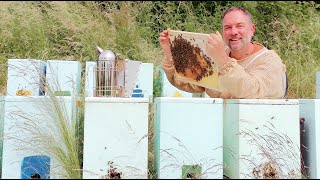 Création dessaims artificiels  une méthode efficace secrets dagrandissement  Apiculture S03E09 [upl. by Yecam]