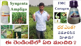 Ampligo Vs Coragen Which is Best Insecticide  Mirapa lo GuddiPutha MidgeEga Chilli Pesticide [upl. by Gilli]