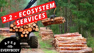 APES Notes 22  Ecosystem Services [upl. by Ayeki]