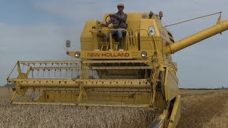 NewHolland CLAYSON 1540 Landbouwbedrijf Sjaak Buijs [upl. by Gonzalez]