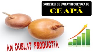 3 GREȘELI IN CULTURA DE CEAPA  INVATA CUM SA EVITI ACESTE GRESELI CAND CRESTI CEAPA [upl. by Jacob928]