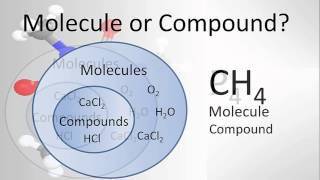 Molecule vs Compound Examples and Practice [upl. by Wystand]