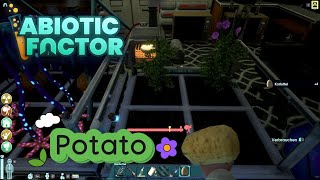 Abiotic Factor  Location of Potato  Planting Potatoes [upl. by Elwyn]